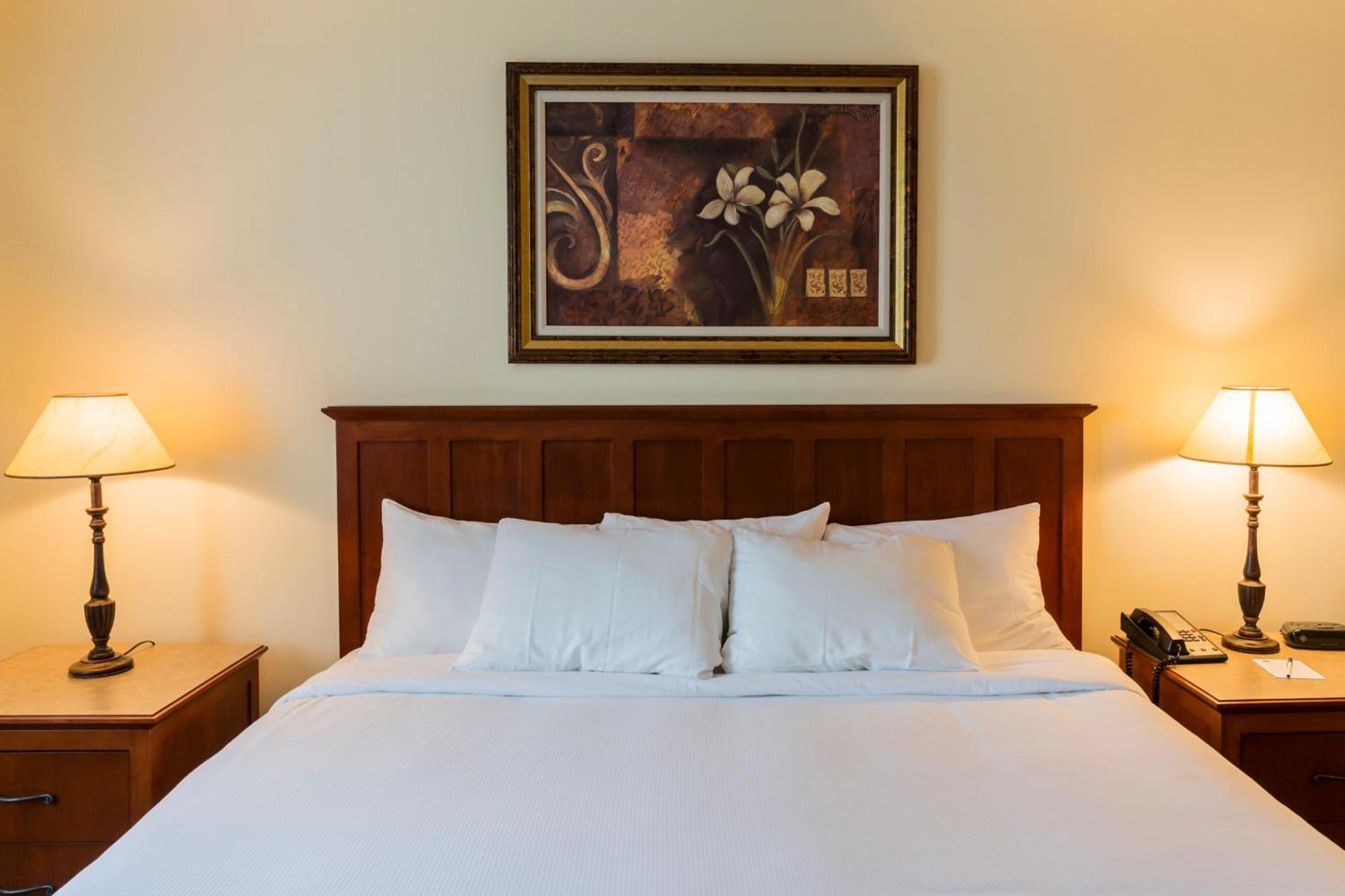 Hotel St-Bernard Saint-Bernard-de-Lacolle Eksteriør bilde